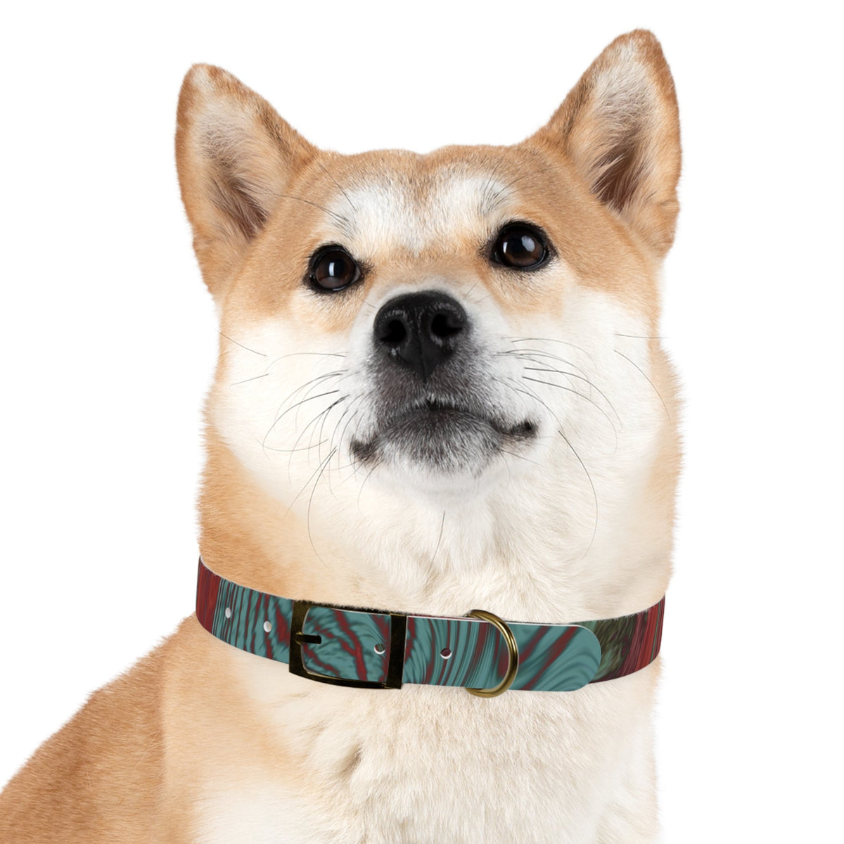 Pet Collections